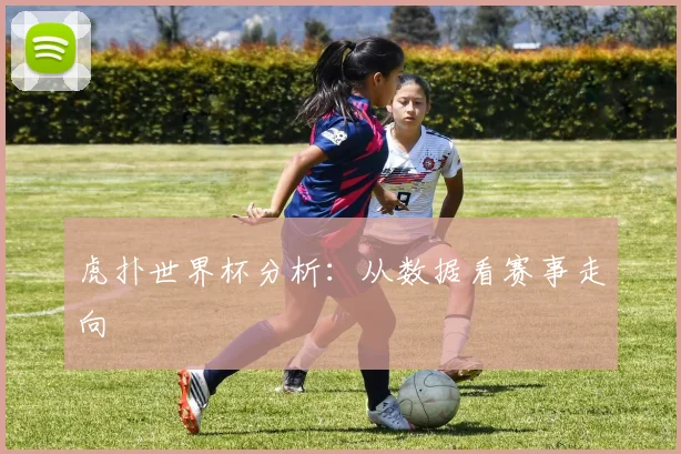 虎扑世界杯分析:从数据看赛事走向
