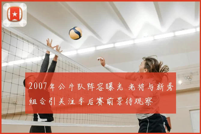 2007年公牛队阵容曝光 老将与新秀组合引关注季后赛前景待观察