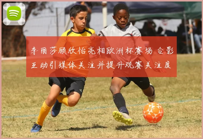 李丽莎顾欣怡亮相欧洲杯赛场 合影互动引媒体关注并提升观赛关注度