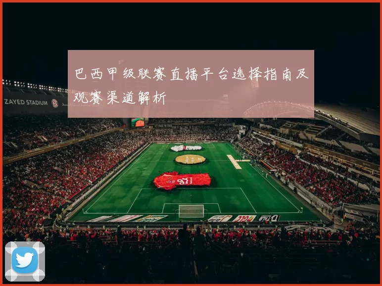 巴西甲级联赛直播平台选择指南及观赛渠道解析