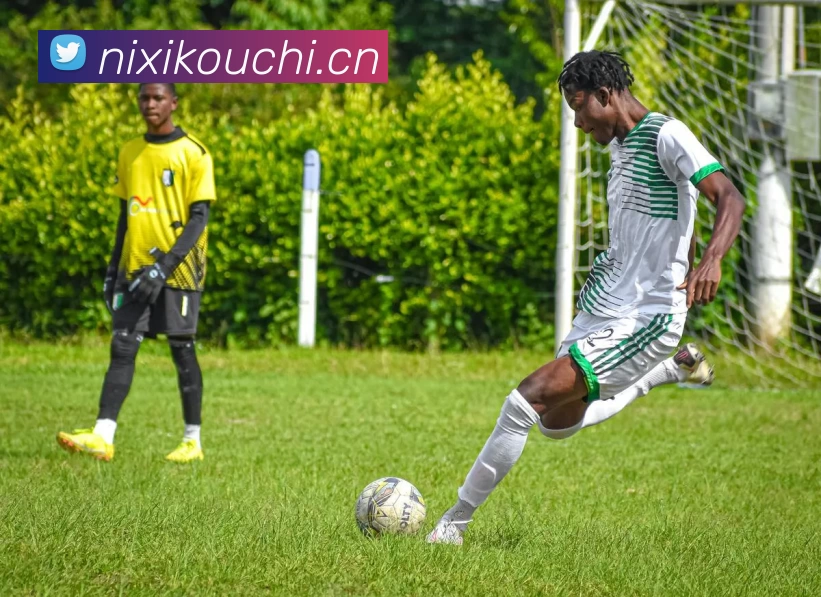 OB体育(中国)官方网站服务体系